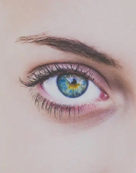 cejas