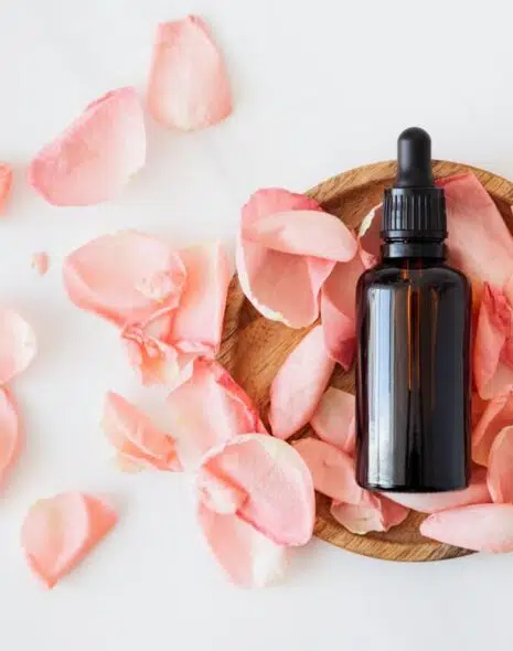 productos veganos de las celebrities