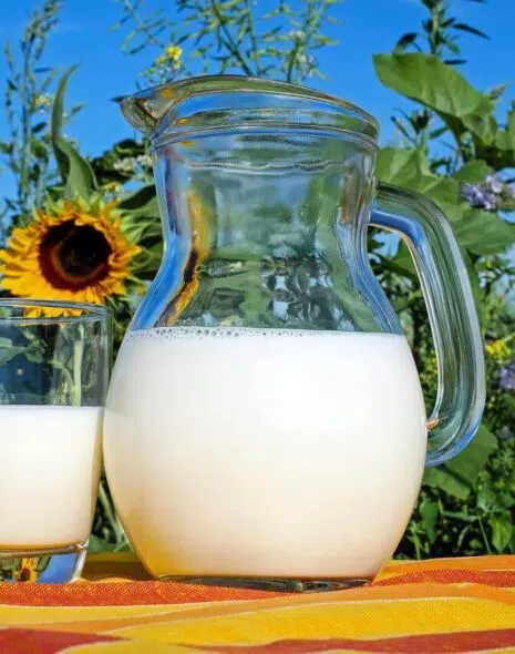 consumir leche de vaca